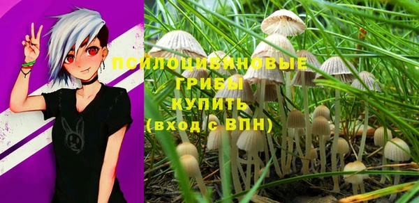 стафф Аркадак