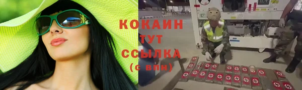 стафф Аркадак
