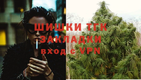 стафф Аркадак