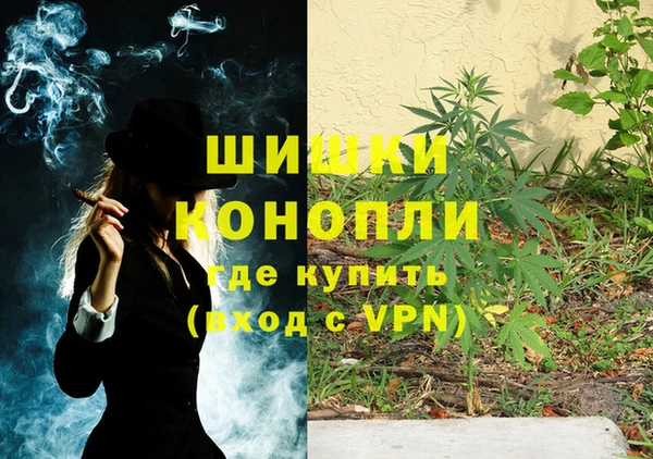 стафф Аркадак